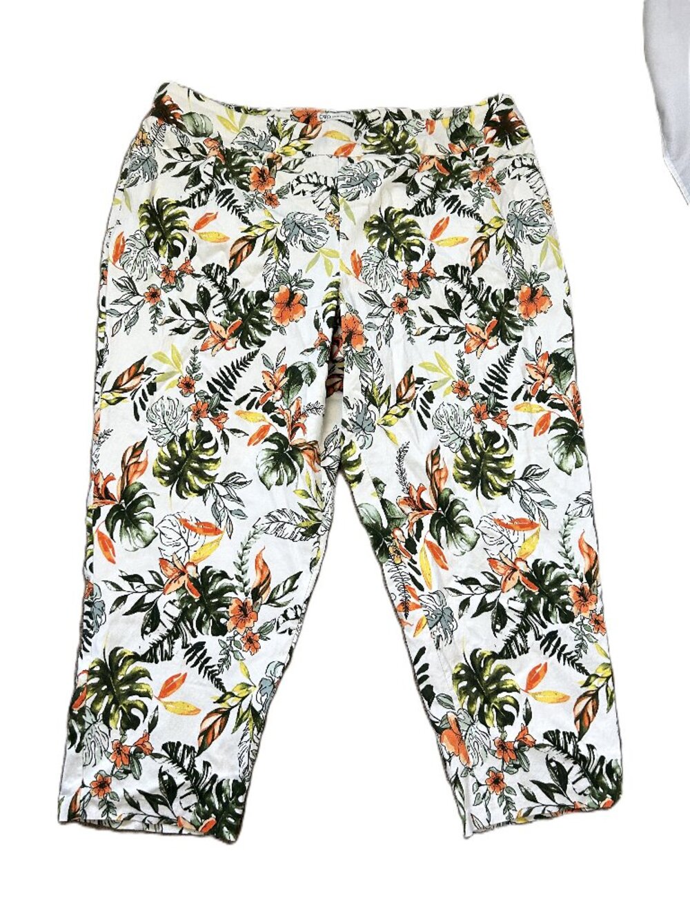 Cato Tropical Print Pants High Rise Plus 24W